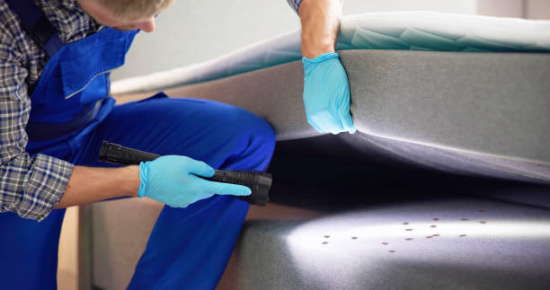 Best Pest Prevention Services  in Sturgeon Bay, WI